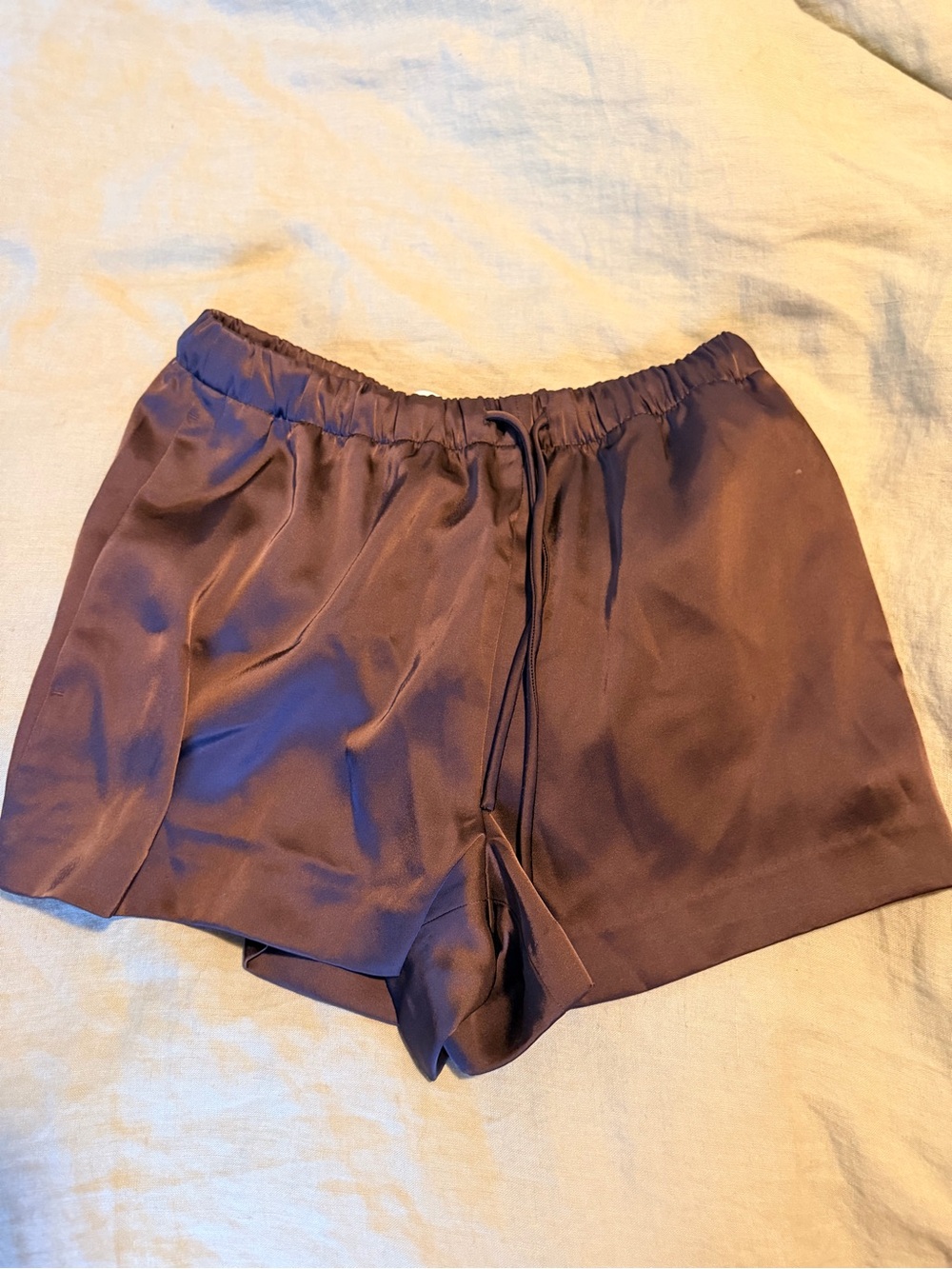 Aritzia Brown Satin High-Waist Drawstring Shorts